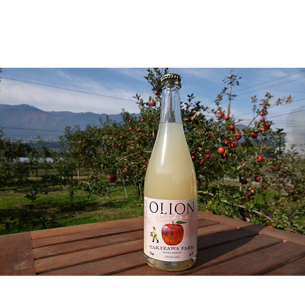 【ふるさと納税】【信州産りんご】甘口シードル「OLION」（750ml×1本）　【お酒・甘口シードル・シー...