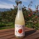 【ふるさと納税】【信州産りんご】甘口シードル「OLION」（750ml×1本）　【お酒・甘口シードル・シードル・りんご・リンゴ・アルコール】