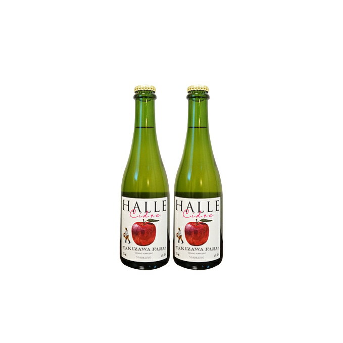 【ふるさと納税】【信州産りんご】辛口シードル「HALLE」（375ml×2本）　【お酒・りんご・林檎】