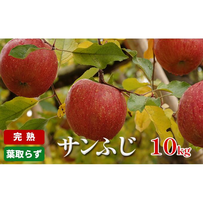 【ふるさと納税】【信州産りんご】完熟・葉取らず「サンふじ」10kg　【果物類・林檎・りんご・リンゴ・果物・フルーツ】　お届け：2023年11月中旬～12月下旬のサムネイル
