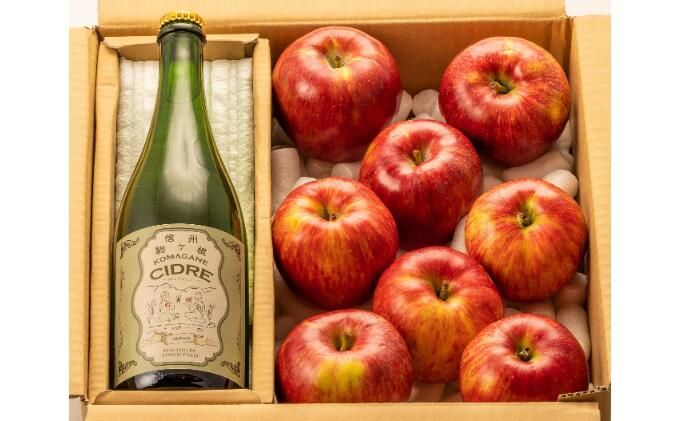 【ふるさと納税】長野県産「旬のりんご」と「シードル」のセット お酒 シャンパン スパークリングワイン リンゴ 宅飲み 晩酌 　お届け：2025年9月より出荷