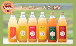 【ふるさと納税】【信州産】りんごの個性にびっくり！ジュース6種セット（1,000ml×6本）　【 果実飲料 ミックスジュース りんごジュース 飲み比べ サンつがる サンふじ 王林 ゆず 人参 】･･･ 画像1