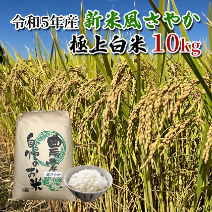 【農家直送/令和5年産新米】長野県産「風さやか」（10kg）【栄屋ファーム】　【 お米 精米 ご飯 オリジナル 新品種 旨味 甘み 爽やか もっちり 美味しい お弁当 おにぎり こだわり 安心 安全 ミネラル たっぷり 】　お届け：2023年10月下旬～2024年9月下旬