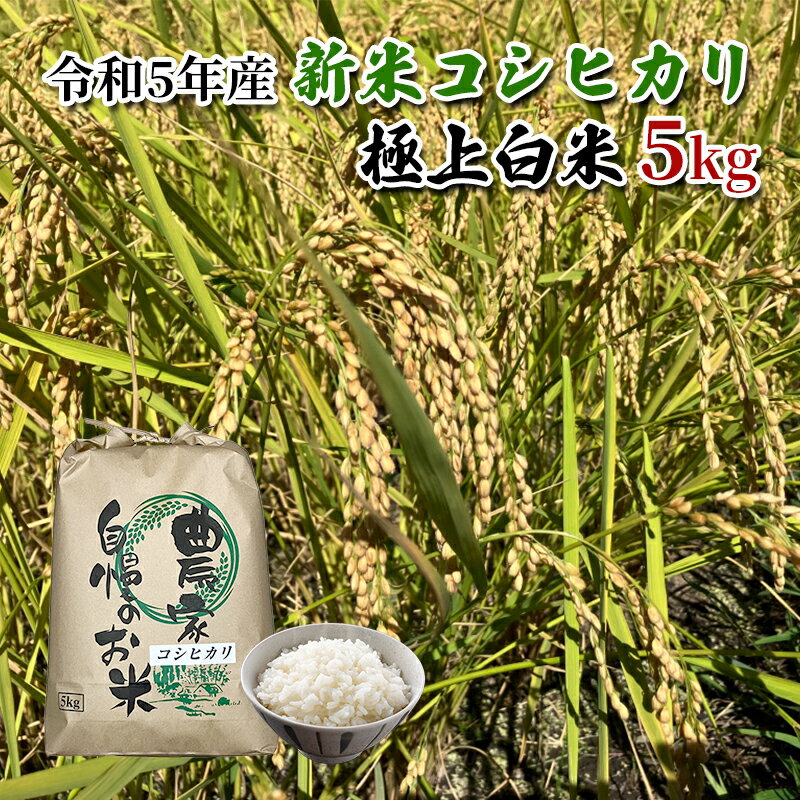 41位! 口コミ数「0件」評価「0」【農家直送/令和5年産新米】長野県産「コシヒカリ」（5kg）（炊飯食味値88点の極上白米）　【 お米 精米 ご飯 旨味 甘み 清流 美味しい･･･ 