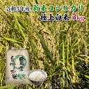 人気ランキング第15位「長野県駒ヶ根市」口コミ数「0件」評価「0」【農家直送/令和5年産新米】長野県産「コシヒカリ」（5kg）（炊飯食味値88点の極上白米）　【 お米 精米 ご飯 旨味 甘み 清流 美味しい こだわり 安心 安全 ミネラル たっぷり 人気 】　お届け：2023年10月下旬～2024年9月下旬