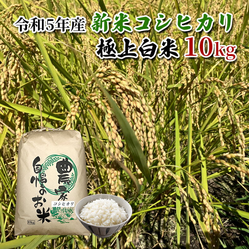 24位! 口コミ数「0件」評価「0」【農家直送/令和5年産新米】長野県産「コシヒカリ」（10kg）（炊飯食味値88点の極上白米）　【 お米 精米 ご飯 旨味 甘み 清流 美味し･･･ 