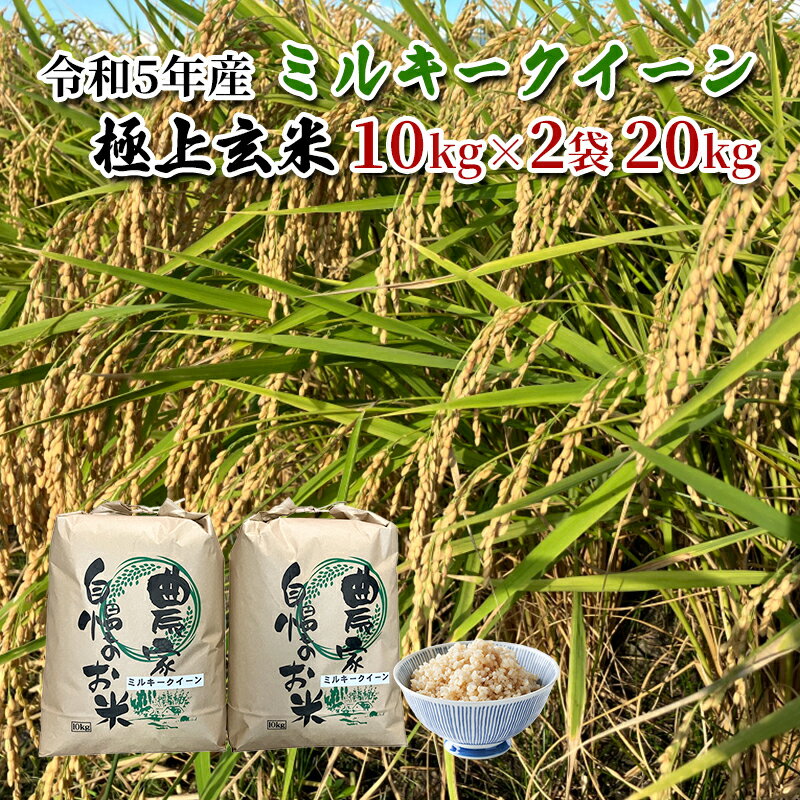 【ふるさと納税】【農家直送/令和5年産新米】長野県産「ミルキークイーン」（10kg×...