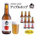 【ふるさと納税】南信州ビールOgna「アップルホップ」（330ml×6本セット）　【お酒・ビール】