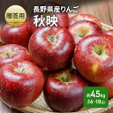 【ふるさと納税】りんご 先行予約 長野 贈答用 リンゴ 秋映 約4.5kg(16〜18玉) 産地直送 ギフト プレゼント 贈答 贈答品 贈り物 フルーツ 果物 ...