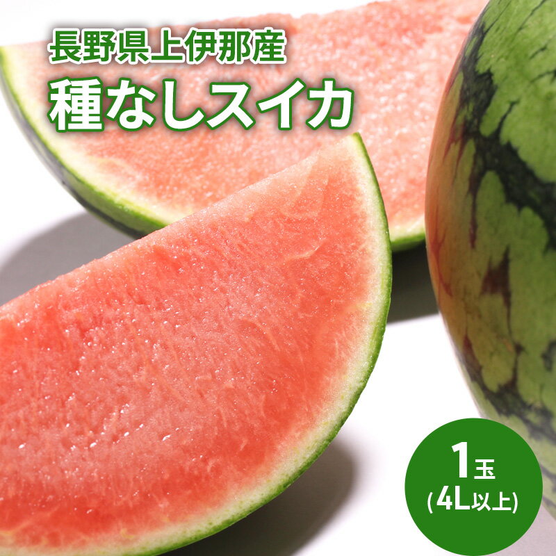 7位! 口コミ数「0件」評価「0」長野県上伊那産「種なしスイカ」（4L以上） 1玉　【駒ヶ根市】　お届け：2024年7月15日～8月10日