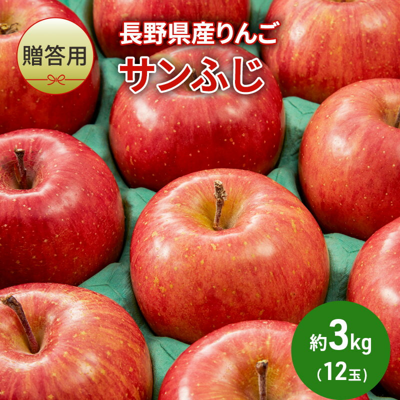 【ふるさと納税】【贈答用】長野県産りんご「サンふじ」約3kg