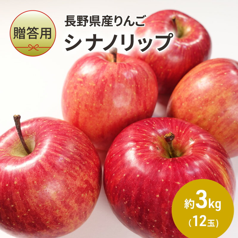 [贈答用]長野県産りんご「シナノリップ」 約3kg(12玉) [駒ヶ根市] お届け:2024年8月中旬〜8月下旬