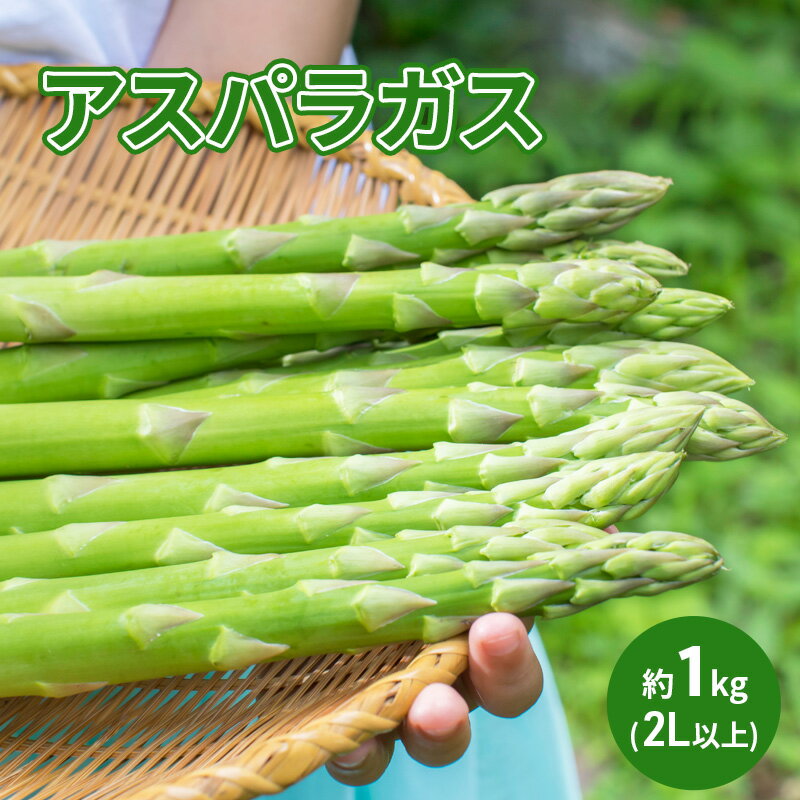 【ふるさと納税】アスパラガス 約1kg（2L以上）　【駒ヶ根市】　お届け：2023年4月中旬～5月下旬