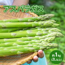 【ふるさと納税】アスパラガス 約1kg（2L以上）　【駒ヶ根市】　お届け：2024年4月中旬～5月下旬