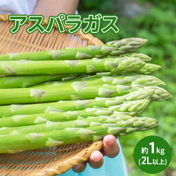 【ふるさと納税】アスパラガス 約1kg（2L以上）　【駒ヶ根市】　お届け：2024年4月中旬～5月下旬