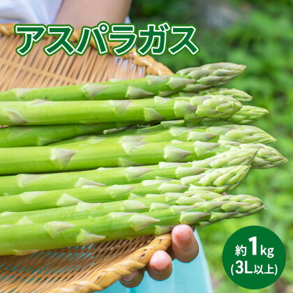 アスパラガス 約1kg（3L以上）　【駒ヶ根市】　お届け：2024年4月中旬～5月中旬