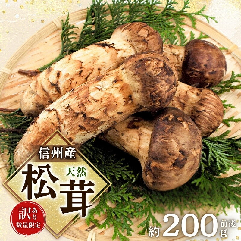 【ふるさと納税】【訳あり】数量限定/信州産「天然松茸」（約200g/9本以上）　【野菜・きのこ・野菜・きのこ】　お届け：2024年9月中旬～10月下旬