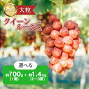 【ふるさと納税】クイーンルージュⓇ ぶどう 特選房 選べる 700g 1.4kg 特選 大粒 種なし 皮ごと 産地直送 フルーツ 果物 デザート シャインマスカット おやつ 葡萄 秋 旬 旬の果物 旬のフルーツ 信州 信州産 長野県 長野県産 駒ヶ根市 お届け:2025年9月中旬~10月中旬頃