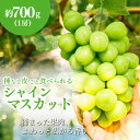 【ふるさと納税】ぶどう シャインマスカット 約700g(1房)果物 フルーツ デザート 信州 長野 駒ケ根市 お届け:2025年10月上旬〜12月上旬