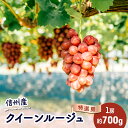 【ふるさと納税】ぶどう クイーンルージュⓇ 約700g(1房)果物 フルーツ デザート 信州 長野 駒ケ根市 お届け:2025年9月中旬~10月下旬