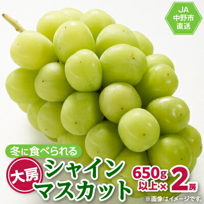 【ふるさと納税】『冷蔵』12月出荷の大房シャインマスカット(2房1.3kg以上)JA中野市から直送です【配送不可地域：離島・北海道・沖縄県】【1143168】のサムネイル