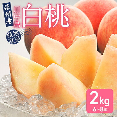 【信州産】川中島白桃2kg(6-8玉)【配送不可地域：離島】【1232139】
