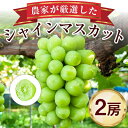 【ふるさと納税】農家が厳選したシャインマスカット2房詰め合わせ_ 1.3kg 以上 フルーツ 果物 旬 ギフト プレゼント 贈り物 送料無料 【配送不可地域:離...