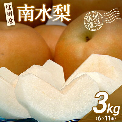 【信州産】南水なし3kg_ なし 梨 ナシ 南水梨 南水なし フルーツ 果物 ふるーつ くだもの 国産 旬 産地直送 信州 長野 人気 品種 送料無料 産地直送 甘い みずみずしい 贈答 ギフト 【1246371】