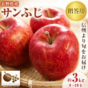 16位! 口コミ数「1件」評価「1」「産地より信州中野の旬をお届け♪」 サンふじ　贈答用　3kg(8～10玉)《高丘フルーツ》【1297193】