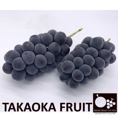 【ふるさと納税】「産地より信州中野の旬をお届け」 種なし巨峰　PREMIUM　約1.2kg　化粧箱入り【配送不可地域：離島】【1311069】