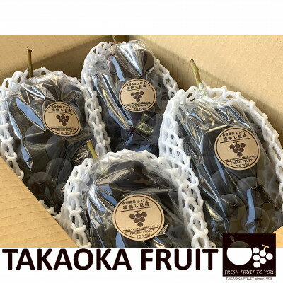 【ふるさと納税】「産地より信州中野の旬をお届け」 種なし巨峰　贈答用　約1.8kg　【配送不可地域：離島】【1311075】