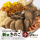 【ふるさと納税】キノコでカラダを整える!新鮮きのこ詰め合わせ 小(5種類以上/7パック以上)_ きのこ 詰合せ セット 長野 信州 産地直送 人気 おすすめ 送...