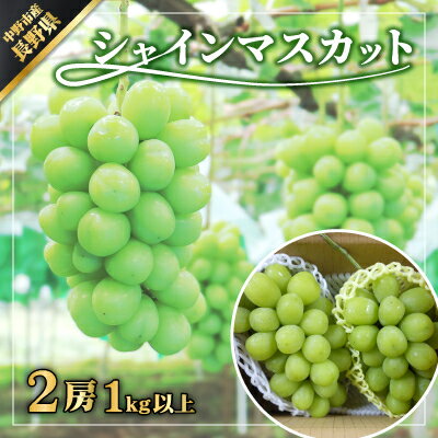 長野県　中野市産　シャインマスカット2房(1.0kg以上)【配送不可地域：離島・北海道・沖縄県】【1331082】