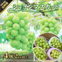 名称 長野県　中野市産　シャインマスカット4房(2.0kg以上) 保存方法 冷蔵 発送時期 2024-09-25～2024-11-14 提供元 清水農園 配達外のエリア 離島、北海道、沖縄県 お礼品の特徴 長野県中野市産の甘さ抜群、種無し皮ごと食べられるぶどうです。 完熟品を厳選し、朝採り新鮮な恵みをお届け致します。 ■生産者の声 一つ一つ丁寧に梱包、厳選したシャインマスカットをお届けします。 ■お礼品の内容について ・長野県　中野市産　シャインマスカット[4房(2.0kg以上)] 　　原産地:長野県中野市 　　賞味期限:出荷日+4日 ■注意事項/その他 ※保存方法:冷蔵庫に入れて保存して下さい。 ※丁寧な梱包を心掛けておりますが、配送時の揺れや傾きにより、房から実が外れてしまう場合がございます。 ※天候や生育状況により、お届けが前後する場合がございます。 ※生鮮物ですので期限は目安となります。状態をよくご確認の上、お早目にお召し上がり下さい。 ・ふるさと納税よくある質問はこちら ・寄附申込みのキャンセル、返礼品の変更・返品はできません。あらかじめご了承ください。このお礼品は以下の地域にはお届けできません。 ご注意ください。 離島、北海道、沖縄県