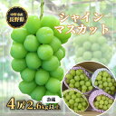 【ふるさと納税】【冷蔵】　長野県　中野市産　シャインマスカット4房(2.6kg以上)【1331183】