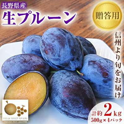【ふるさと納税】「産地より信州中野の旬をお届け♪」 高丘フルーツの長野県産「生プルーン」贈答用 約2Kg【配送不可地域:離島】【1407599】 【ふるさと納税】「産地より信州中野の旬をお届け♪」 高丘フルーツの長野県産「生プルーン」贈答用 約2Kg【配送不可地域:離島】【1407599】