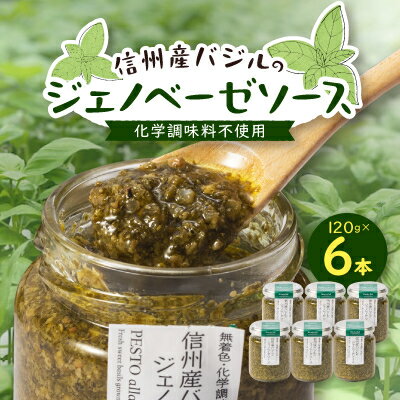 【ふるさと納税】朝採れ信州産バジルのジェノベーゼソース 120g×6本【配送不可地域:近畿】【1437610】