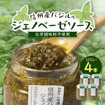 【ふるさと納税】朝採れ信州産バジルのジェノベーゼソース 120g×4本【1437634】