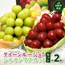 【ふるさと納税】JA中野市直送!長野県オリジナルぶどう「クイーンルージュ(R)」とシャインマスカット 計2房セット_ ブドウ ぶどう 葡萄 フルーツ 果物 くだもの 甘い マスカット セット 食べ比べ 長野県 信州 産直 ギフト 贈り物 【配送不可地域:離島】【1478910】