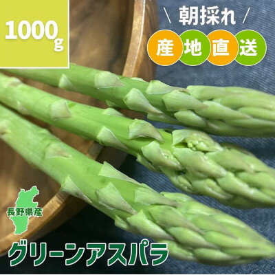 2位! 口コミ数「0件」評価「0」長野県中野市産 朝採れ グリーンアスパラガス M～Lサイズ 1000g【配送不可地域：離島】【1484734】