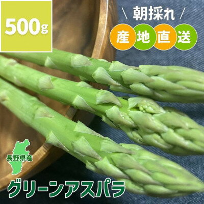 【ふるさと納税】長野県中野市産 朝採れ グリーンアスパラガス M～Lサイズ 500g【配送不可地域：離島】【1484740】