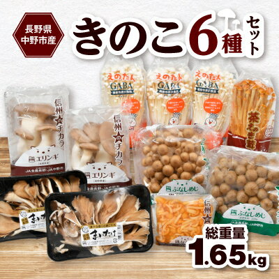 JA中野市産地直送!5種10パック入りきのこセット[中野市特産きのこセットできのこ食を習慣に][配送不可地域:離島]