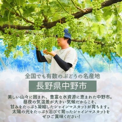 長野県中野市の画像2