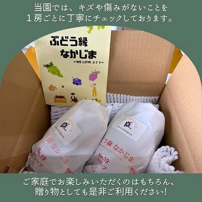 長野県中野市の画像3