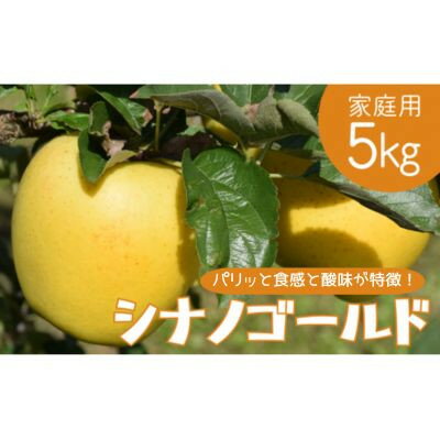 りんご シナノゴールド 家庭用 5kg【1494251】