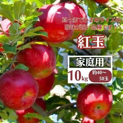 [先行予約]りんご(紅玉) 家庭用 約10kg(40〜50玉)