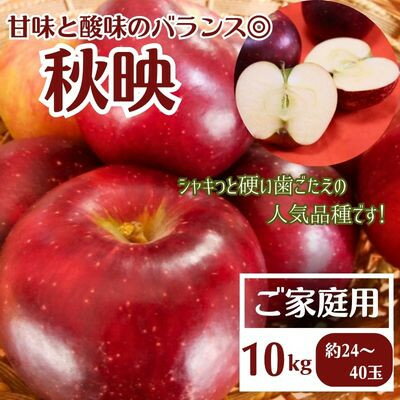 【ふるさと納税】【先行予約】りんご 秋映 ご家庭用 10kg【1494505】