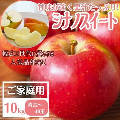 【ふるさと納税】【先行予約】りんご シナノスイート家庭用10