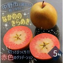 【ふるさと納税】【希少赤い果肉!数量限定】なかののきらめき家