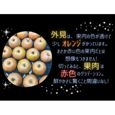 【ふるさと納税】【希少赤い果肉!数量限定】なかののきらめき家庭用5kg(16玉～20玉)2024年11月末頃より発送【1494785】